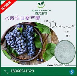 西安葡萄酒批发市场与价格分析 兼谈碘佛醇的无关性